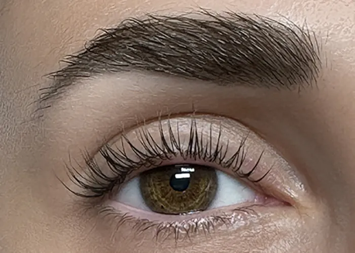 Jelena Meier Meyer atelier Permanent Makeup Lashlifting Baden Aargau Wettingen Navigation