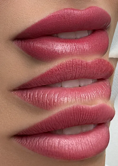 Jelena Meier Meyer atelier Permanent Make-up Lippen Baden Aargau Wettingen Vollpigmentierte Lippen