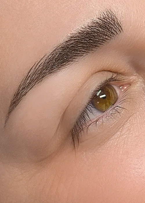 Microblading Baden Wettingen