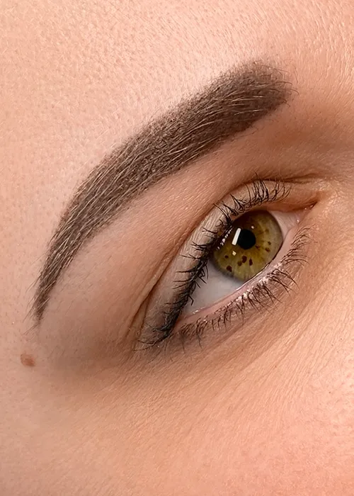 Permanent Make-up Augenbrauen Powder Brows